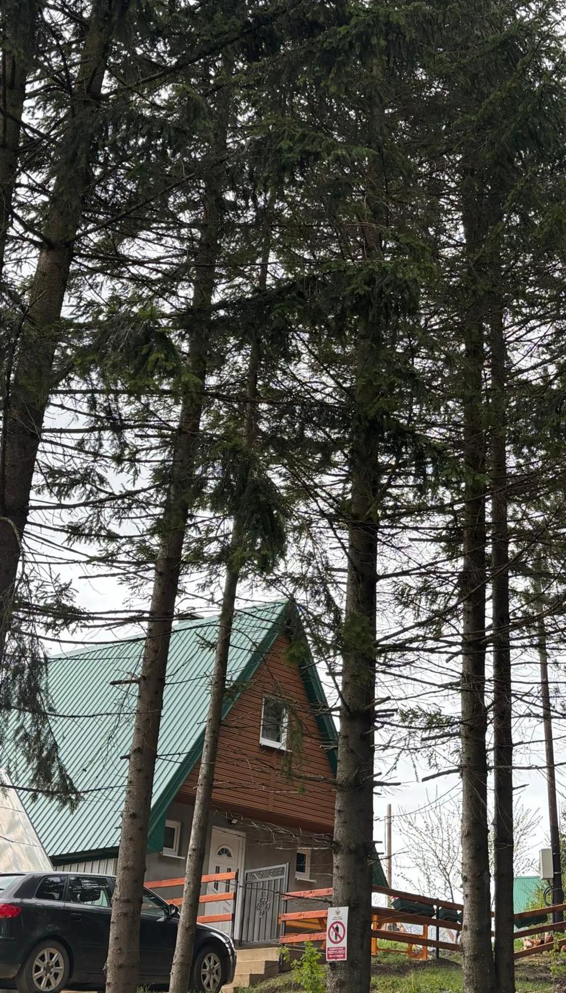 Holiday Home ,,Lazar" Žabljak Exterior foto